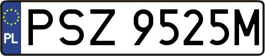 PSZ9525M
