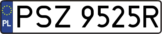 PSZ9525R