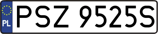 PSZ9525S