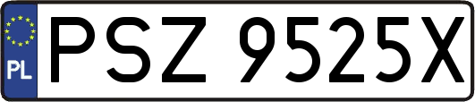 PSZ9525X