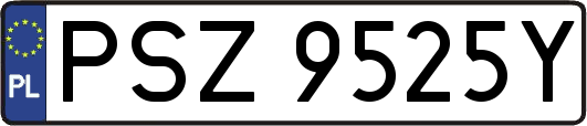PSZ9525Y