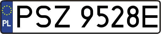 PSZ9528E