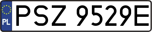PSZ9529E