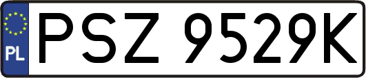 PSZ9529K