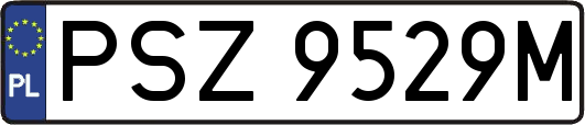PSZ9529M