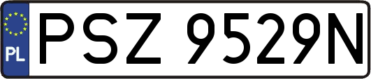 PSZ9529N