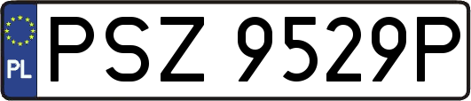 PSZ9529P