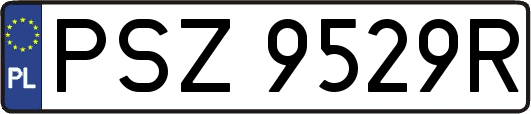 PSZ9529R