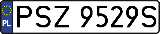 PSZ9529S