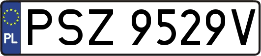 PSZ9529V