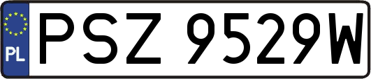 PSZ9529W