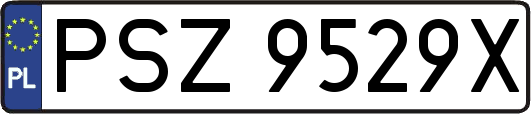PSZ9529X