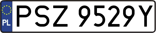 PSZ9529Y
