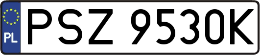 PSZ9530K