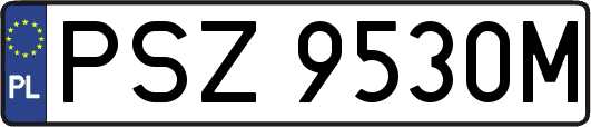 PSZ9530M