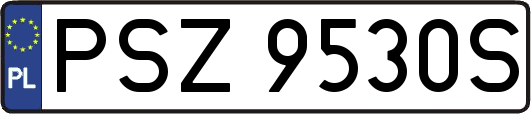 PSZ9530S