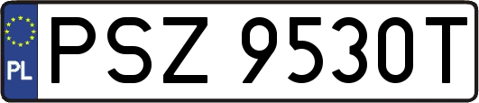 PSZ9530T