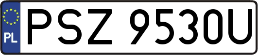 PSZ9530U
