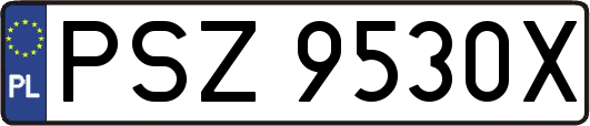 PSZ9530X