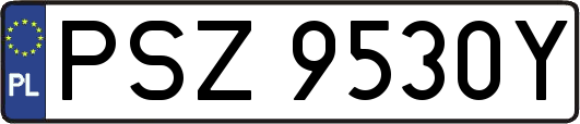 PSZ9530Y