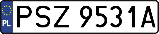 PSZ9531A
