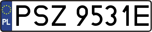 PSZ9531E