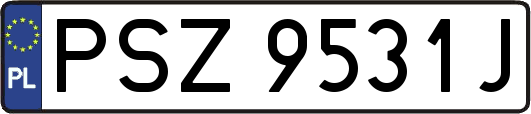 PSZ9531J