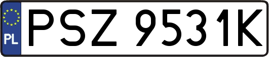 PSZ9531K