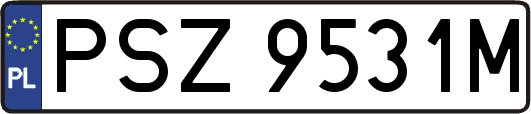 PSZ9531M