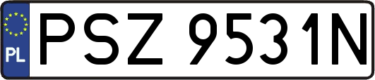 PSZ9531N