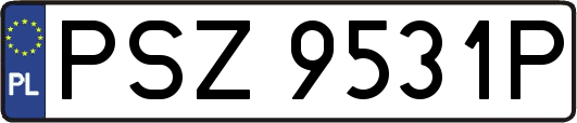 PSZ9531P
