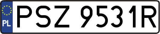 PSZ9531R
