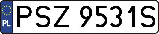 PSZ9531S