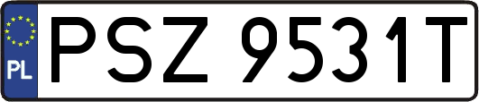 PSZ9531T