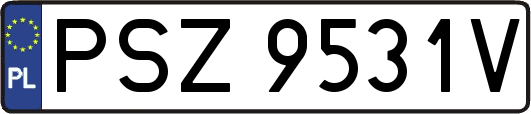 PSZ9531V