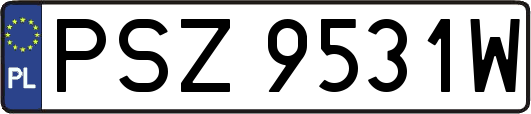 PSZ9531W
