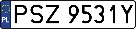 PSZ9531Y