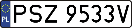 PSZ9533V