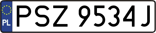 PSZ9534J