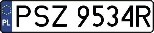 PSZ9534R