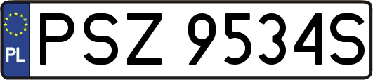 PSZ9534S