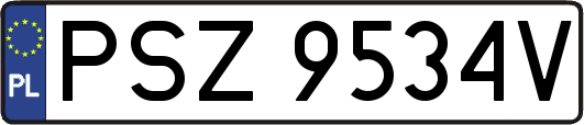 PSZ9534V