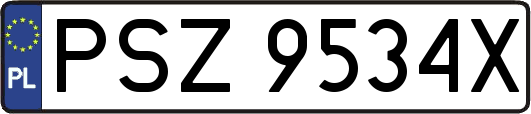 PSZ9534X