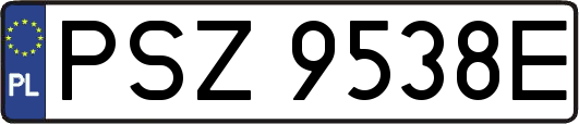 PSZ9538E