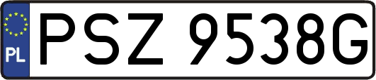 PSZ9538G