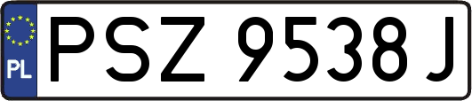 PSZ9538J