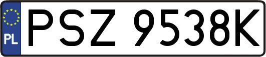 PSZ9538K