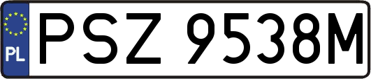PSZ9538M