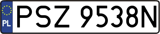 PSZ9538N