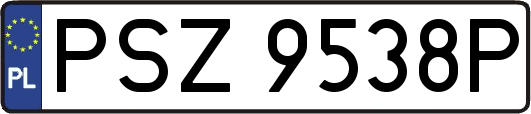 PSZ9538P